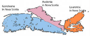 blankmapofnovascotia.jpg